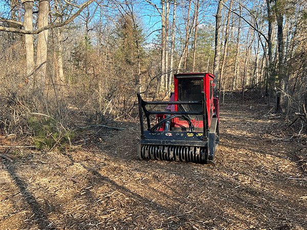 Parrish Farm Land Services forestry muncher in action
